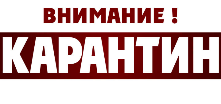 Внимание! Карантин!